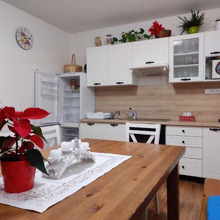 Apartman Pod Bozim Darem Jachymov Ngoại thất bức ảnh