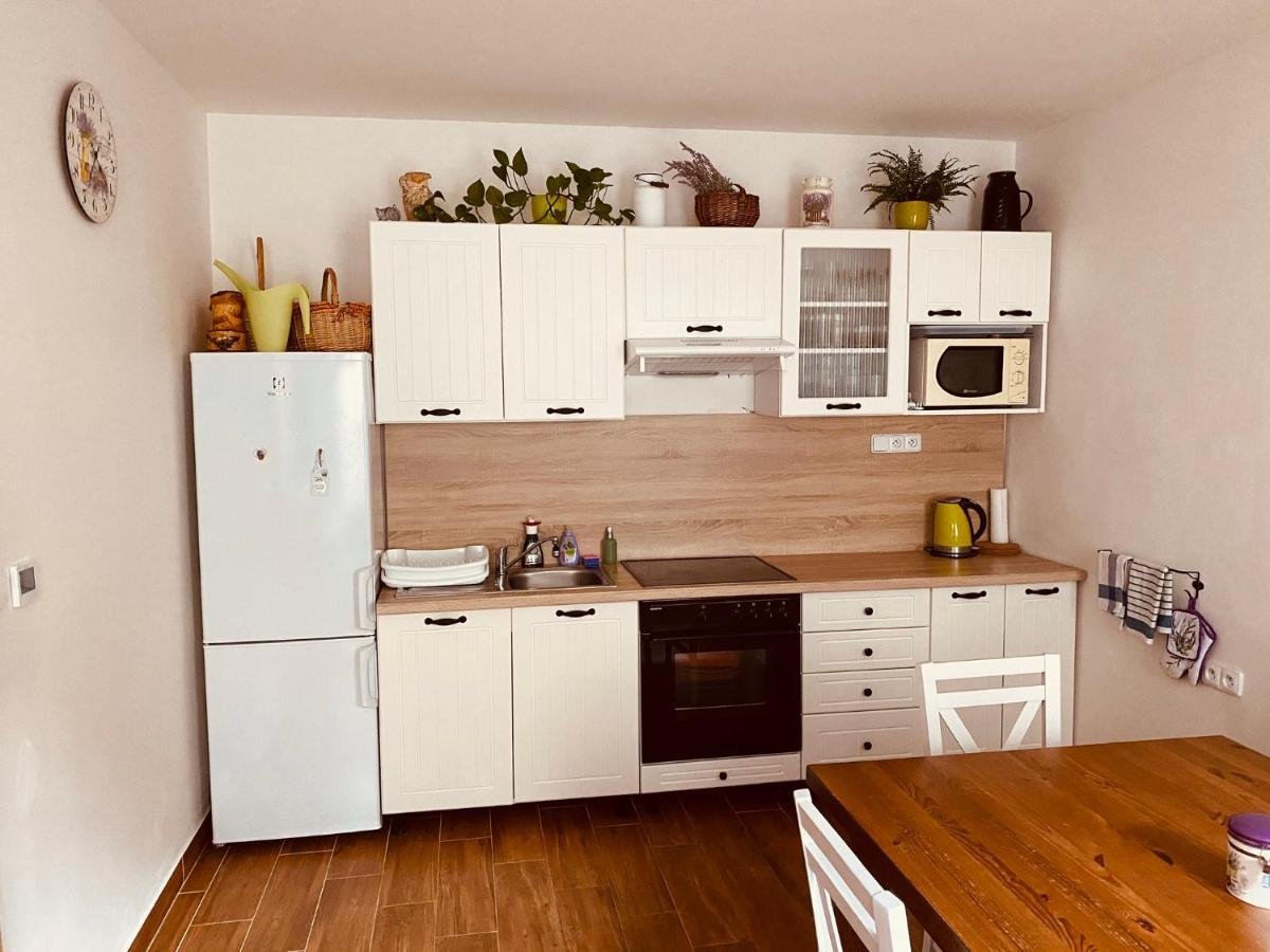 Apartman Pod Bozim Darem Jachymov Ngoại thất bức ảnh