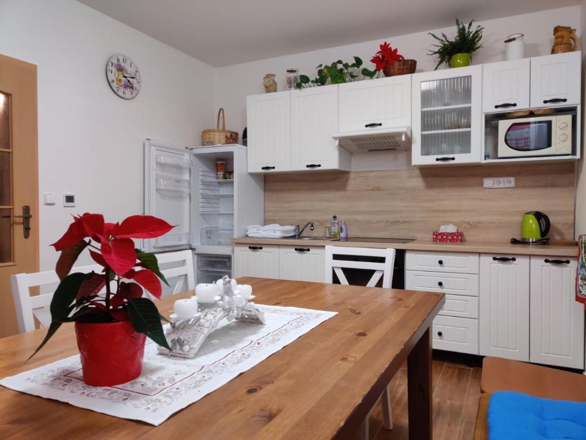 Apartman Pod Bozim Darem Jachymov Ngoại thất bức ảnh